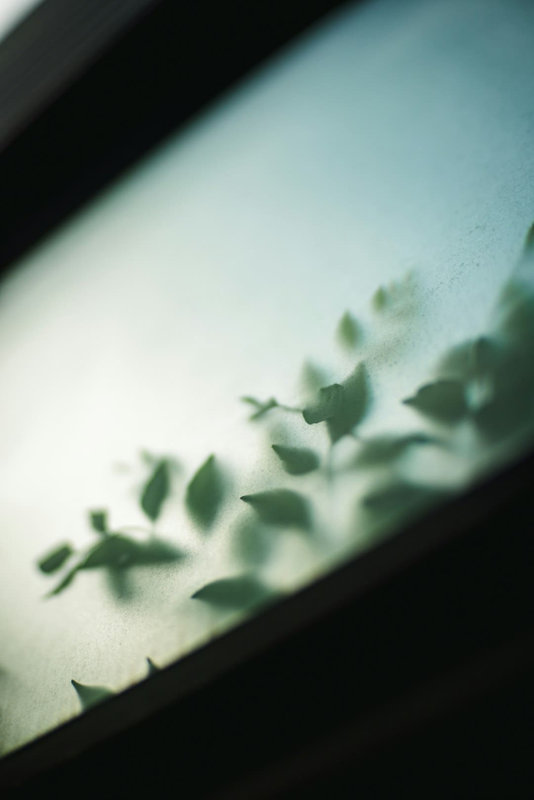 云霄县召开强降雨防范应对工作复盘会